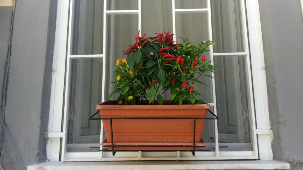 Vesuvius A Mezzocannone Apartment Naples Exterior photo